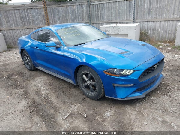 2019 Ford Mustang