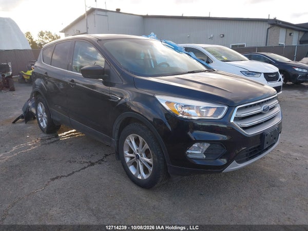 2019 Ford Escape