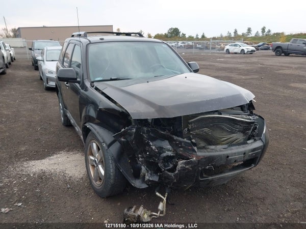 2010 Ford Escape