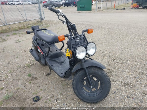2013 Honda Nps50
