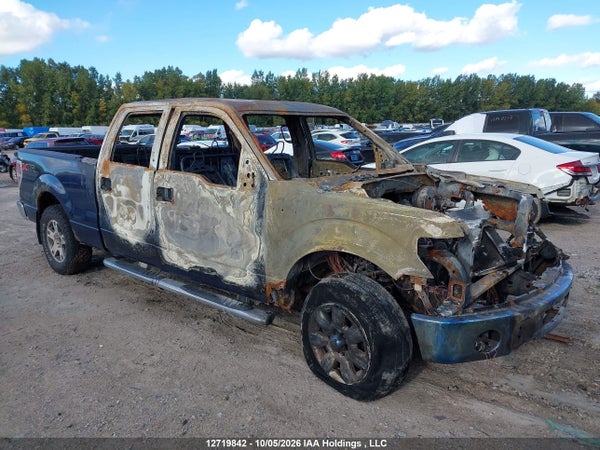 2010 Ford F150
