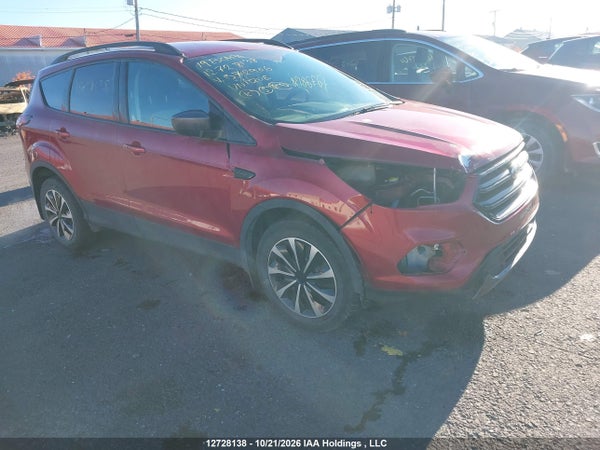 2019 Ford Escape