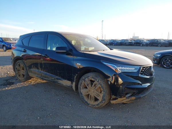 2019 Acura Rdx
