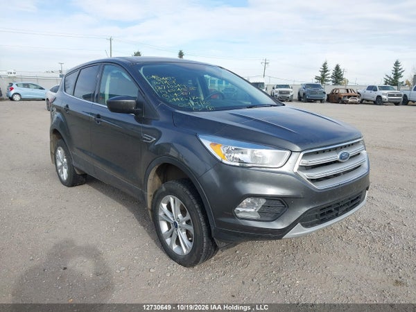 2019 Ford Escape