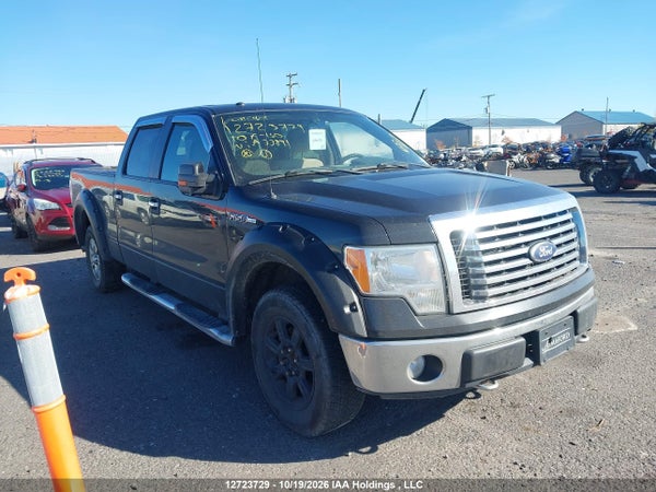 2010 Ford F-150