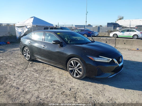 2023 Nissan Maxima