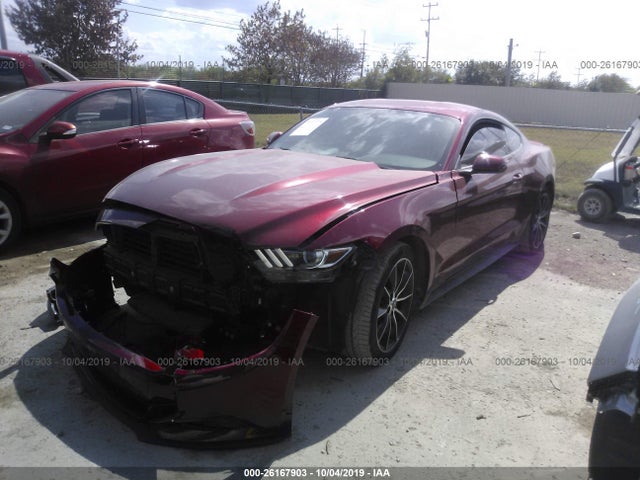 2016 FORD ALL MODELS VIN: 1FA6P8TH6G5211535