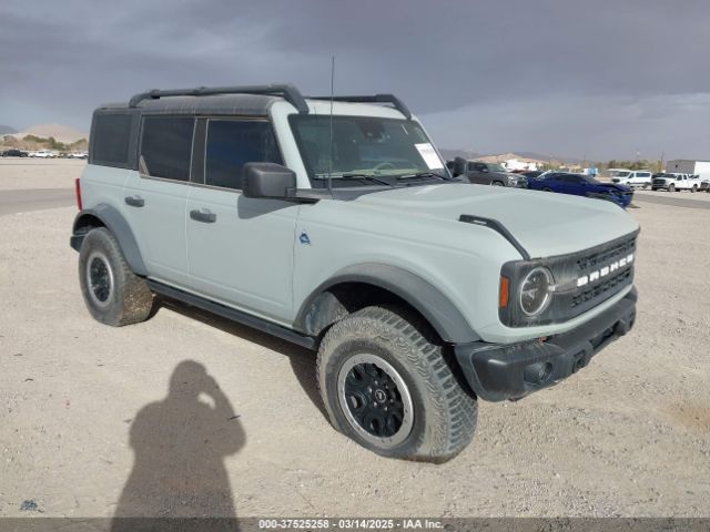 FORD BRONCO – zdjęcie z aukcji, lot #37525258