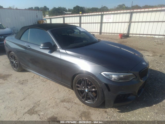 2017 BMW 2 Series, VIN: WBA2L1C38HV666353