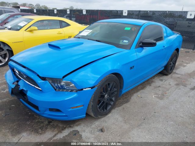 1ZVBP8AM1E5260967 | 2014 Ford mustang v6