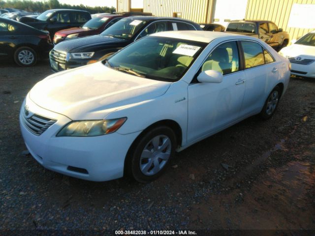 4T1BB46K99U098627 | 2009 Toyota camry hybrid