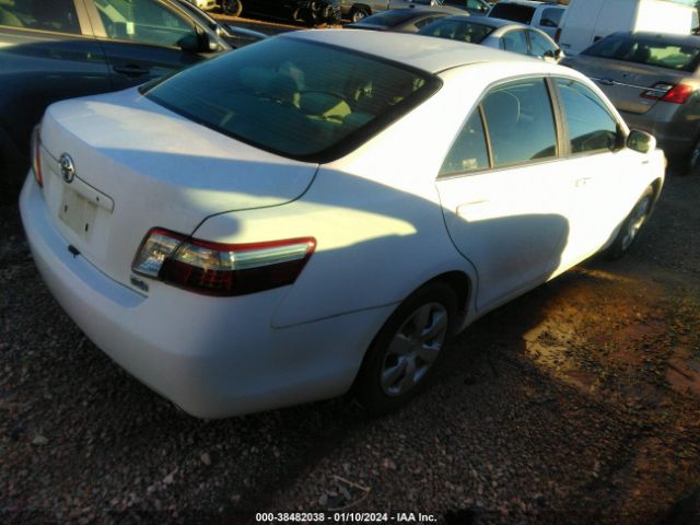 4T1BB46K99U098627 | 2009 Toyota camry hybrid