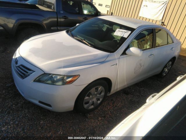 4T1BB46K99U097414 | 2009 Toyota camry hybrid