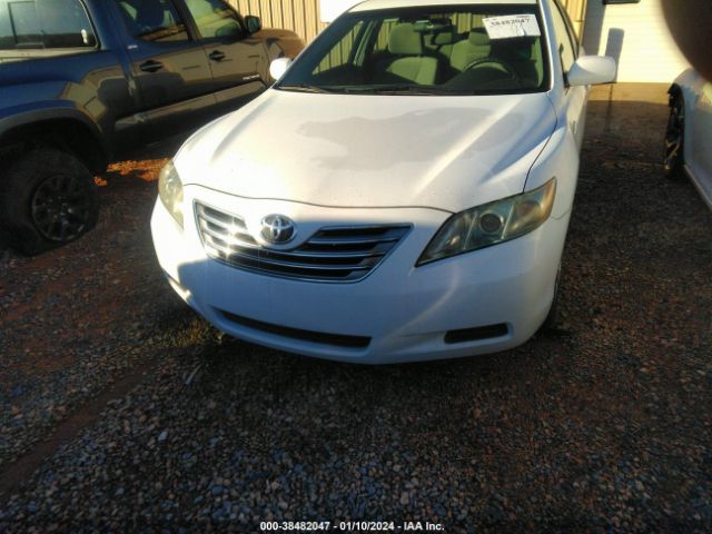 4T1BB46K99U097414 | 2009 Toyota camry hybrid