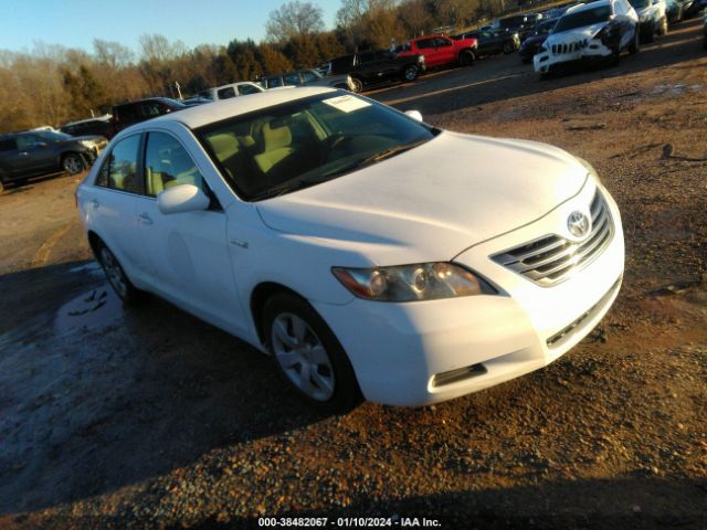 4T1BB46K29U097836 | 2009 Toyota camry hybrid