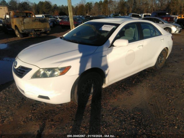 4T1BB46K29U097836 | 2009 Toyota camry hybrid