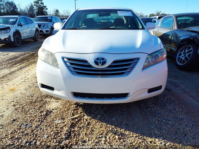 4T1BB46K29U097836 | 2009 Toyota camry hybrid