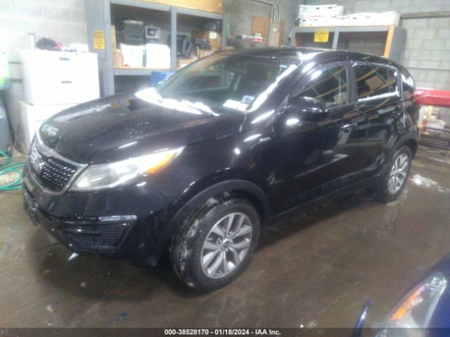 WMWZC3C59DWP20971 | 2015 KIA sportage lx