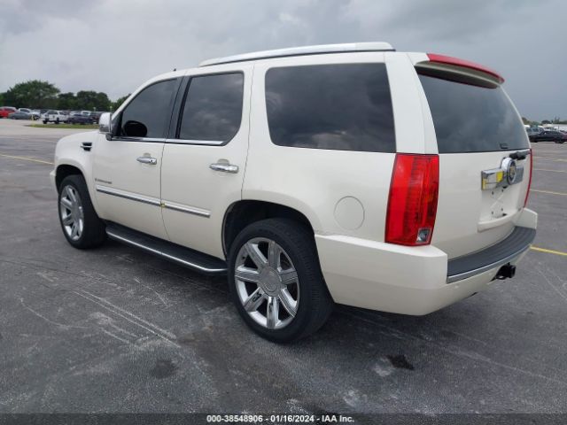 1GYEC63808R195441 | 2008 Cadillac escalade standard