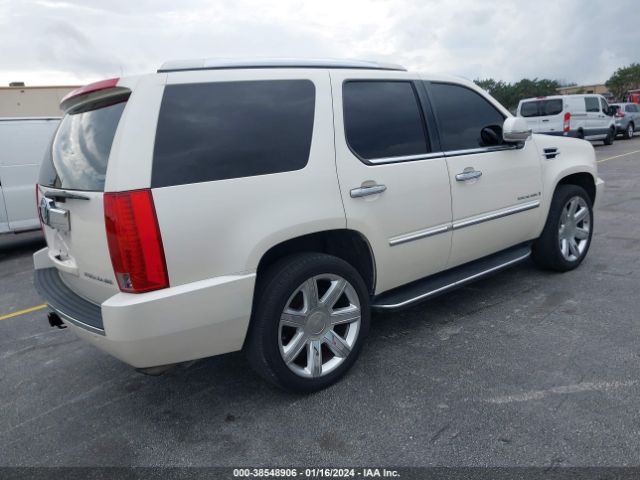 1GYEC63808R195441 | 2008 Cadillac escalade standard