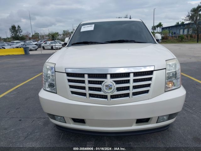 1GYEC63808R195441 | 2008 Cadillac escalade standard