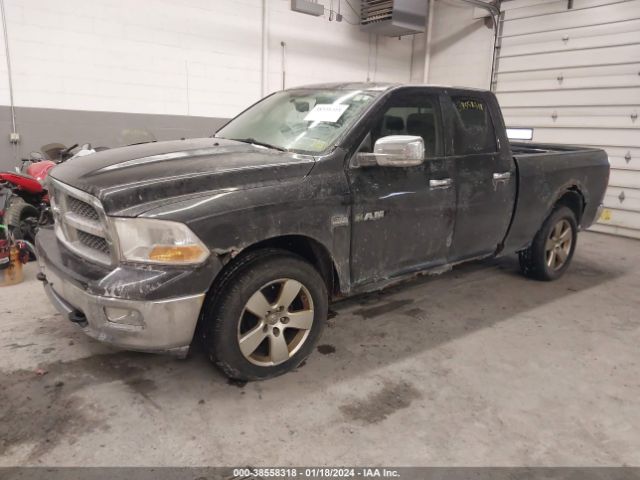 1D3HV18T89S774059 | 2009 Dodge ram 1500 slt/sport/trx