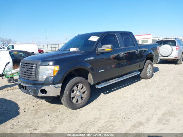 WBXPC93498WJ22182 | 2011 Ford f-150 xlt