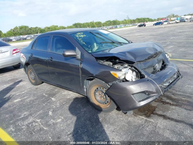 2T1BU4EE3AC498629 | 2010 Toyota corolla le