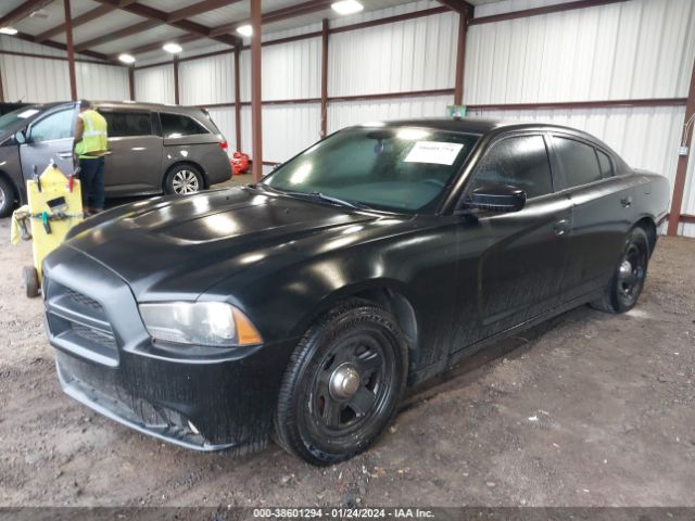 2C3CDXAG9DH706833 | 2013 Dodge charger police