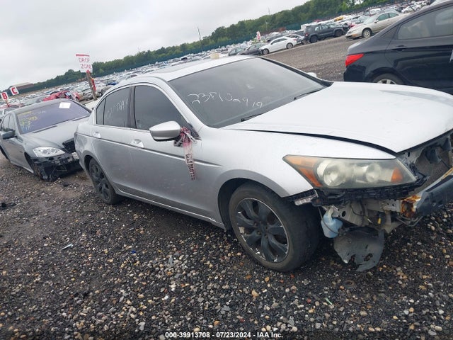 HONDA ACCORD 3.5 EX-L - 1