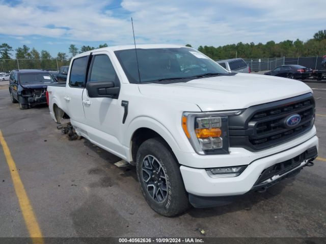 FORD F-150 – zdjęcie z aukcji, lot #40562636