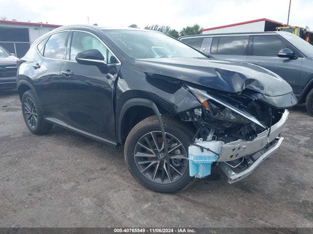 2025 LEXUS NX 