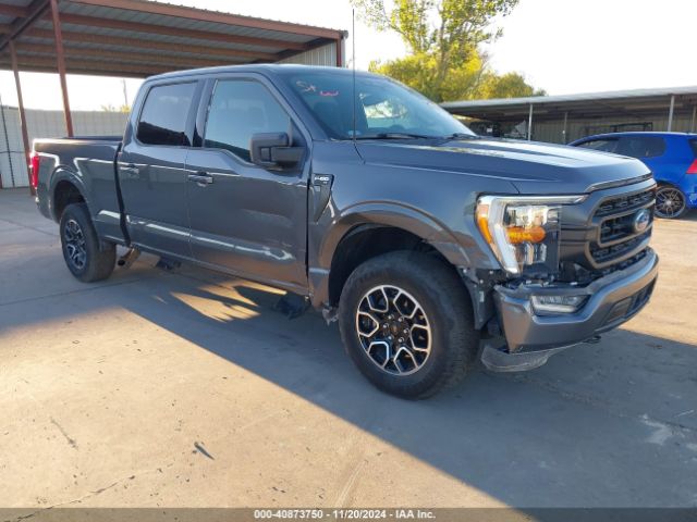 FORD F-150 – zdjęcie z aukcji, lot #40873750