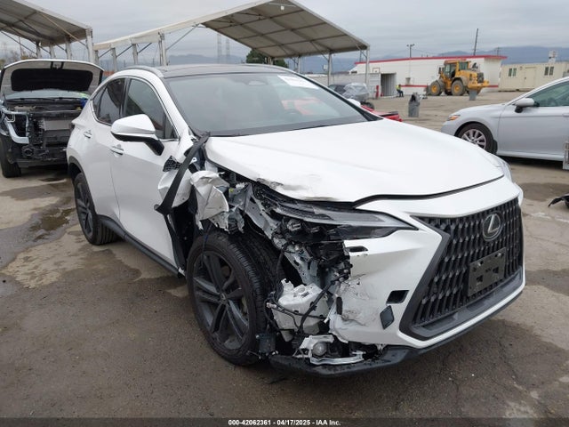 2025 LEXUS NX LUXURY