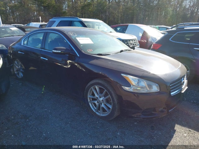 2010 NISSAN MAXIMA 3.5 SV