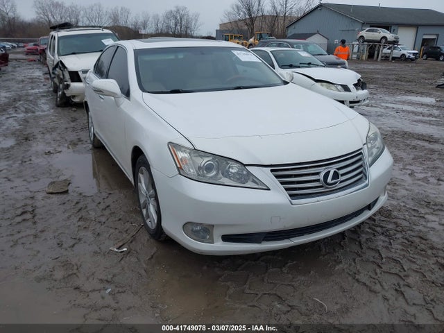 2010 LEXUS ES 