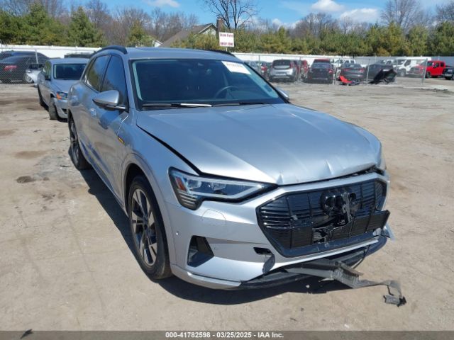 AUDI E-TRON – zdjęcie z aukcji, lot #41782598