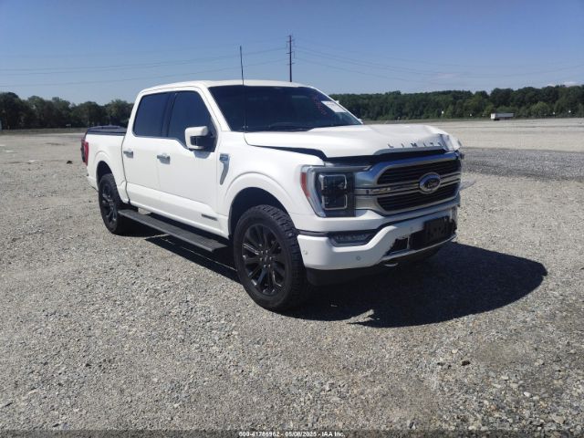 FORD F-150 – zdjęcie z aukcji, lot #41786962