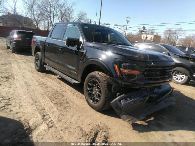 FORD F-150 – zdjęcie z aukcji, lot #41857658