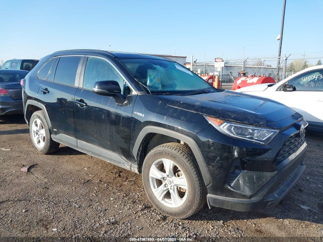 2019 TOYOTA RAV4 XLE