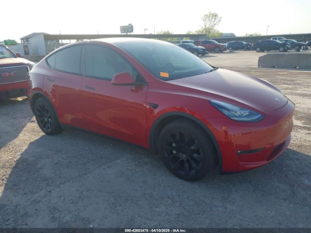TESLA MODEL Y – zdjęcie z aukcji, lot #42003475