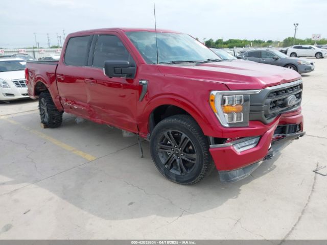 FORD F-150 – zdjęcie z aukcji, lot #42032604