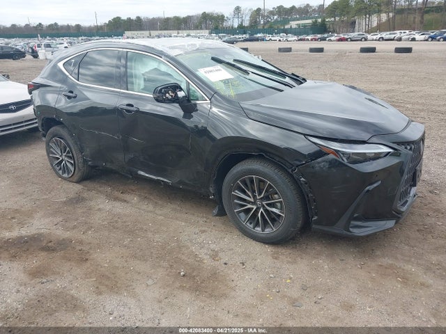 2024 LEXUS NX PREMIUM
