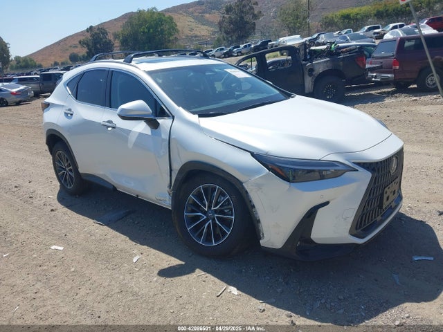 2025 LEXUS NX PREMIUM