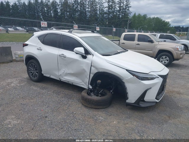 2025 LEXUS NX PREMIUM