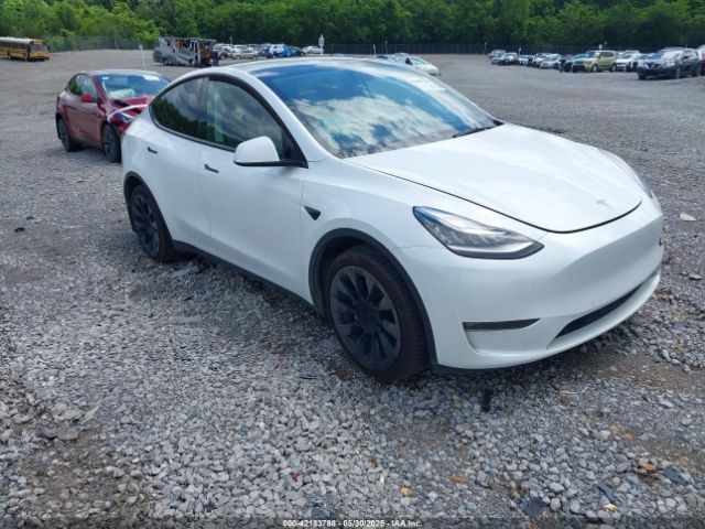 TESLA MODEL Y – zdjęcie z aukcji, lot #42183788