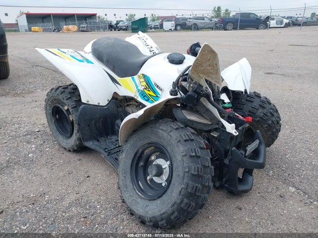 2023 YAMAHA YFZ50 