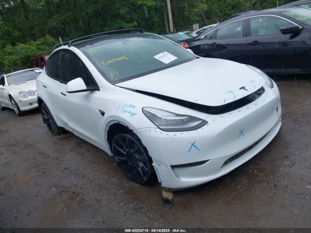 TESLA MODEL Y – zdjęcie z aukcji, lot #42224715