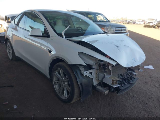 TESLA MODEL Y – zdjęcie z aukcji, lot #42288418