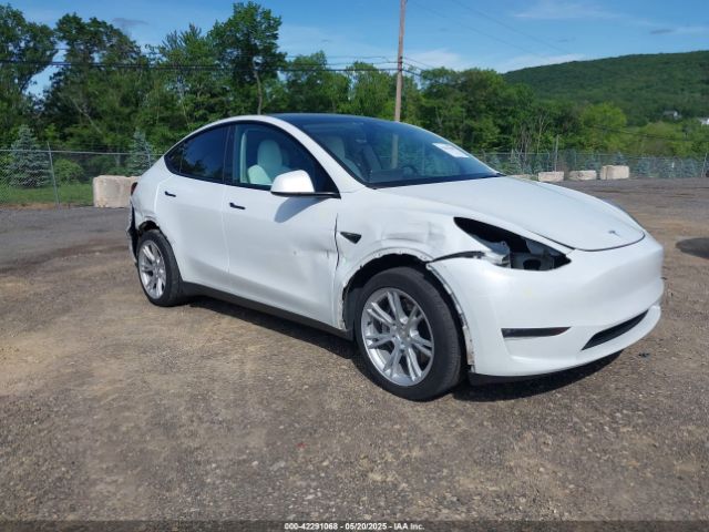 TESLA MODEL Y – zdjęcie z aukcji, lot #42291068